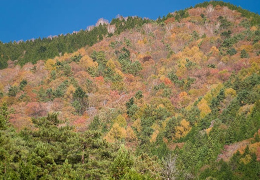 201711061220-DSC01441RX10M4.jpg