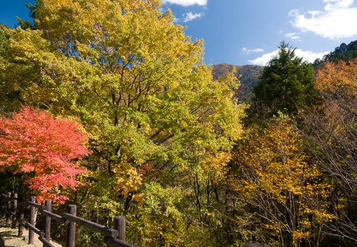 201711061221-DSC01443RX10M4.jpg