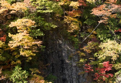 201711061241-DSC01492RX10M4.jpg