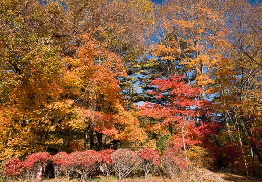201711090902-DSC01786RX10M4.jpg