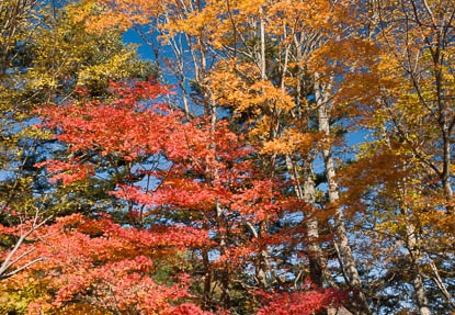 201711090905-DSC01794RX10M4.jpg