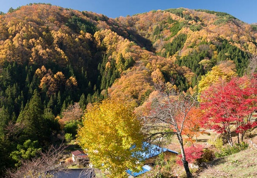 201711090916-DSC01820RX10M4.jpg