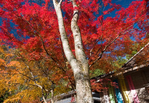 11.12 郡上八幡