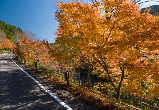 201711120947-DSC02861RX10M4.jpg