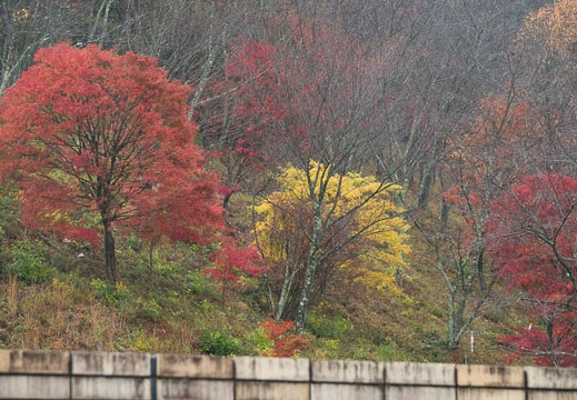 11.14 岐阜
