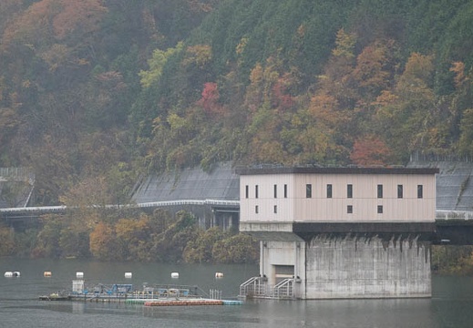 201711141501-DSC03562RX10M4.jpg
