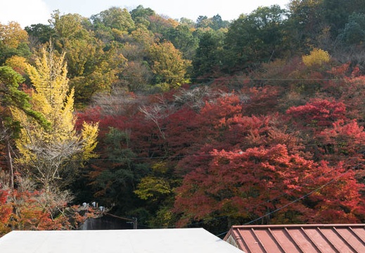 201711151253-DSC03783RX10M4.jpg
