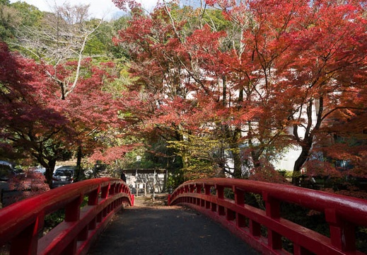 201711151306-DSC03833RX10M4.jpg