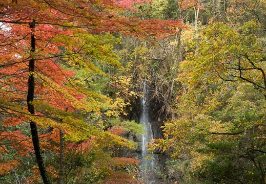 201711151353-DSC03947RX10M4.jpg