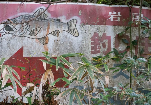 201711151428-DSC04026RX10M4.jpg