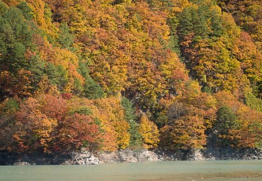 201711161051-DSC04412RX10M4.jpg