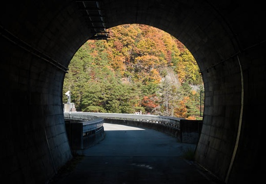 201711161115-DSC04484RX10M4.jpg