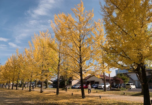 201711171351-DSC04980RX10M4.jpg