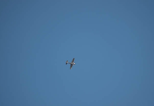 201711171452-DSC05086RX10M4.jpg