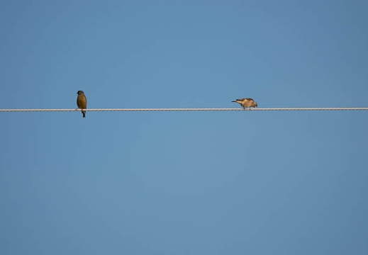 201711171514-DSC05124RX10M4.jpg