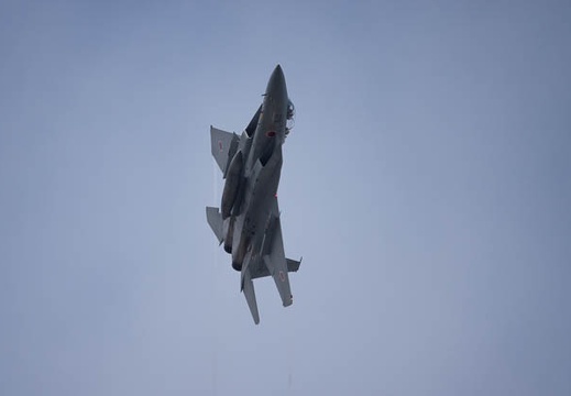 201711191019-DSC05948RX10M4.jpg