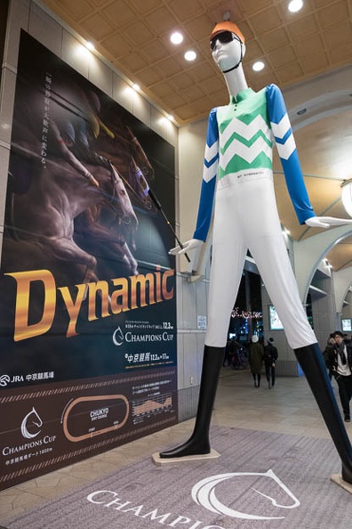 201711261855-DSC09887RX10M4.jpg