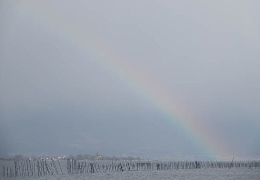 201802170915-DSC07275RX10M4.jpg