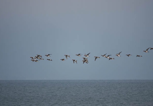 201802170918-DSC07286RX10M4.jpg