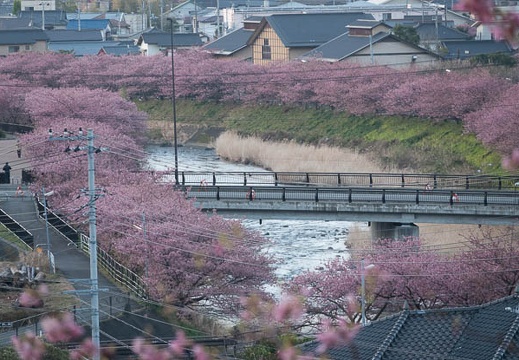 201803020640-DSC01186RX10M4.jpg