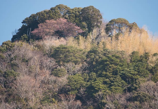 201803020847-DSC01478RX10M4.jpg