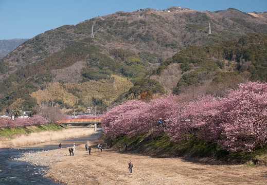 201803020936-DSC01519RX10M4.jpg