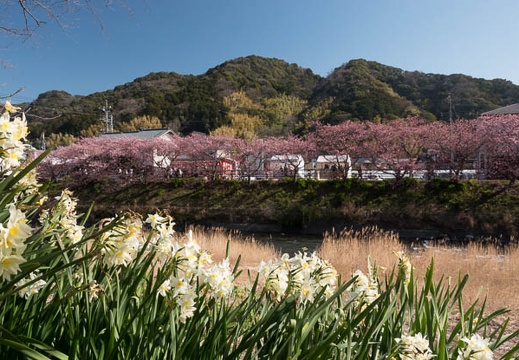 201803020953-DSC01550RX10M4.jpg
