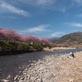 201803021254-DSC01780RX10M4.jpg
