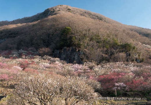 201803030715-DSC01960RX10M4.jpg