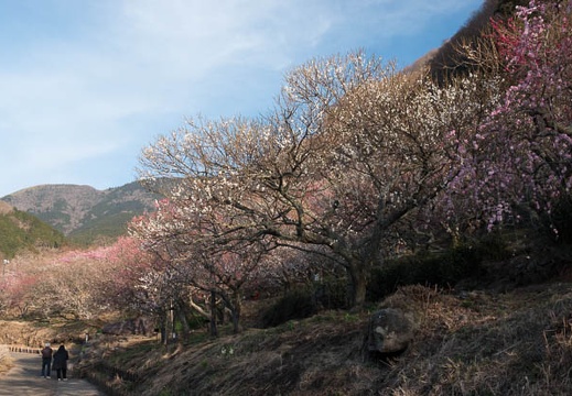 201803030721-DSC01974RX10M4.jpg