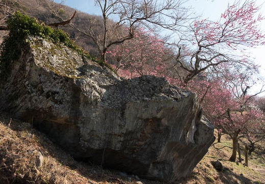 201803030906-DSC02182RX10M4.jpg