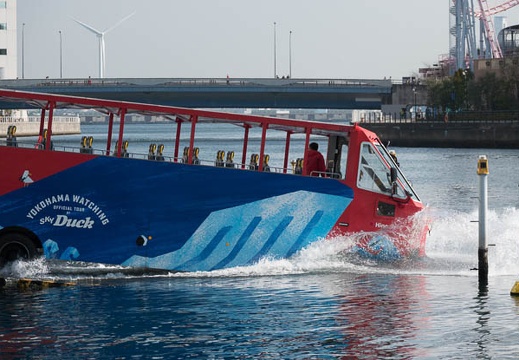201803040909-DSC02646RX10M4.jpg
