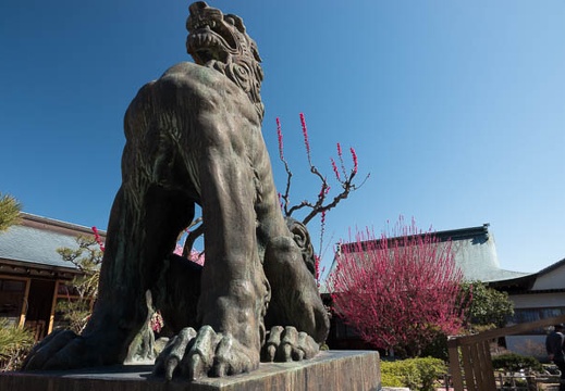201803061117-DSC03113RX10M4.jpg