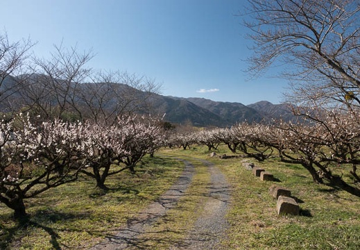 201803101418-DSC04139RX10M4.jpg