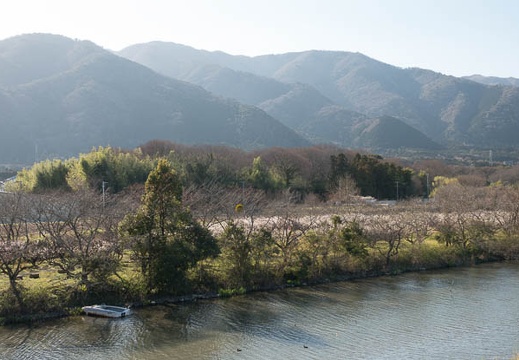 201803101524-DSC04363RX10M4.jpg