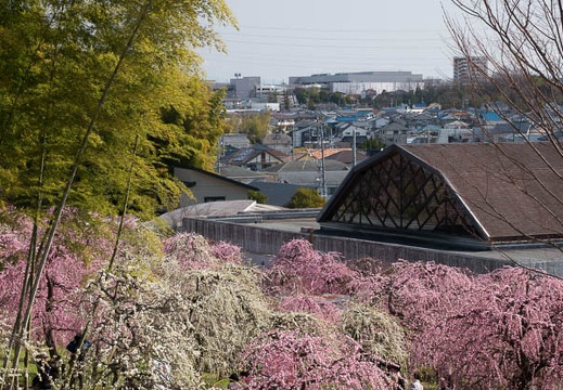 201803111005-DSC04507RX10M4.jpg