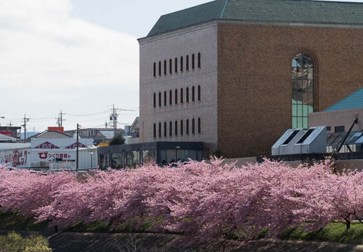 201803171255-DSC07081RX10M4.jpg