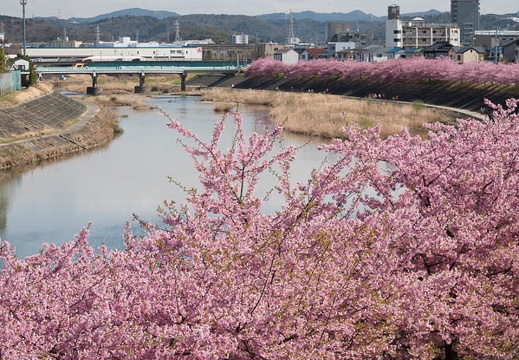 201803171306-DSC07134RX10M4.jpg