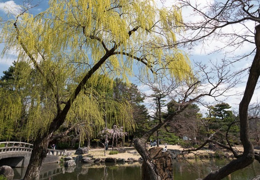 201803181239-DSC07887RX10M4.jpg