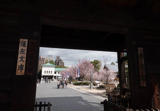 201803221400-DSC08266RX10M4.jpg