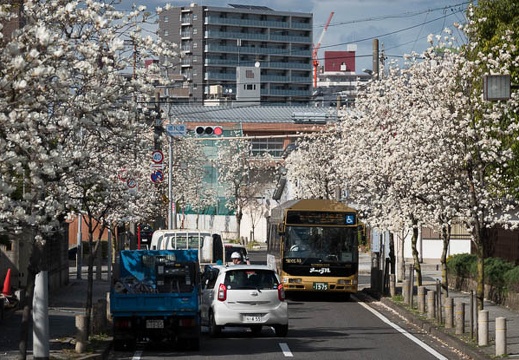 201803221503-DSC08428RX10M4.jpg