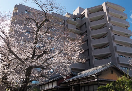201803221513-DSC08443RX10M4.jpg