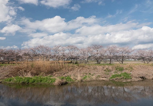 201803240941-DSC09706RX10M4.jpg