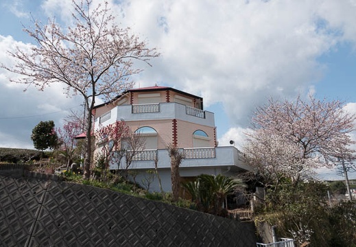 201803241045-DSC09800RX10M4.jpg
