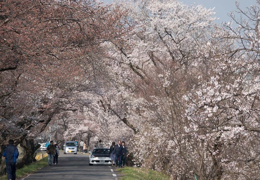 201803250849-DSC00449RX10M4.jpg