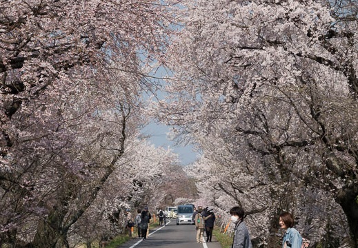 201803250943-DSC00613RX10M4.jpg
