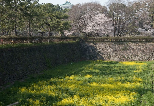201803261501-DSC01300RX10M4.jpg