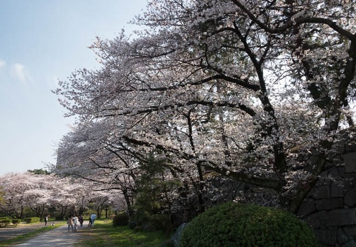 201803261514-DSC01356RX10M4.jpg