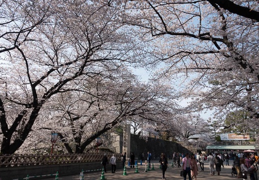 201803261531-DSC01425RX10M4.jpg
