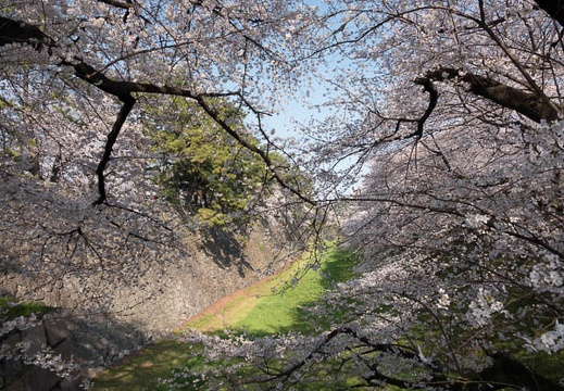 201803261532-DSC01429RX10M4.jpg